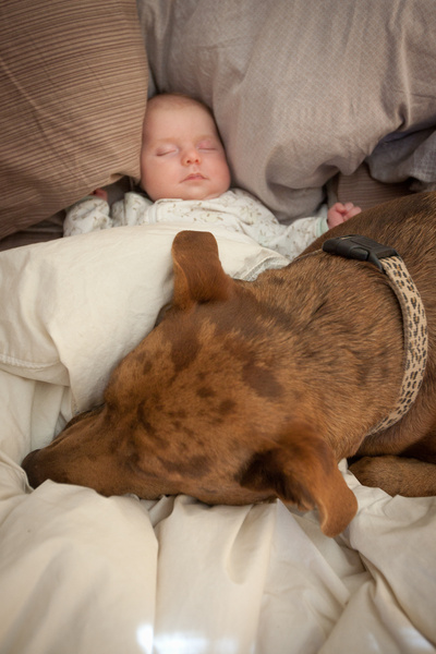 Baby and Dog